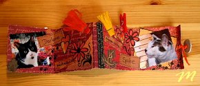 Mini-Album